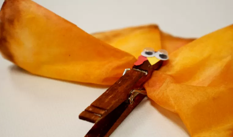 Turkey craft with clothespin and coffee filter